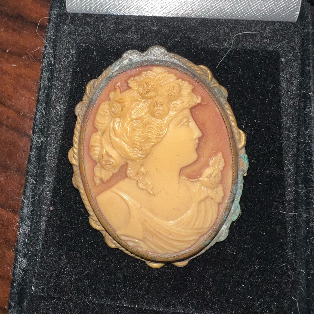 Vintage Cameo Brooch Portrait of a Woman